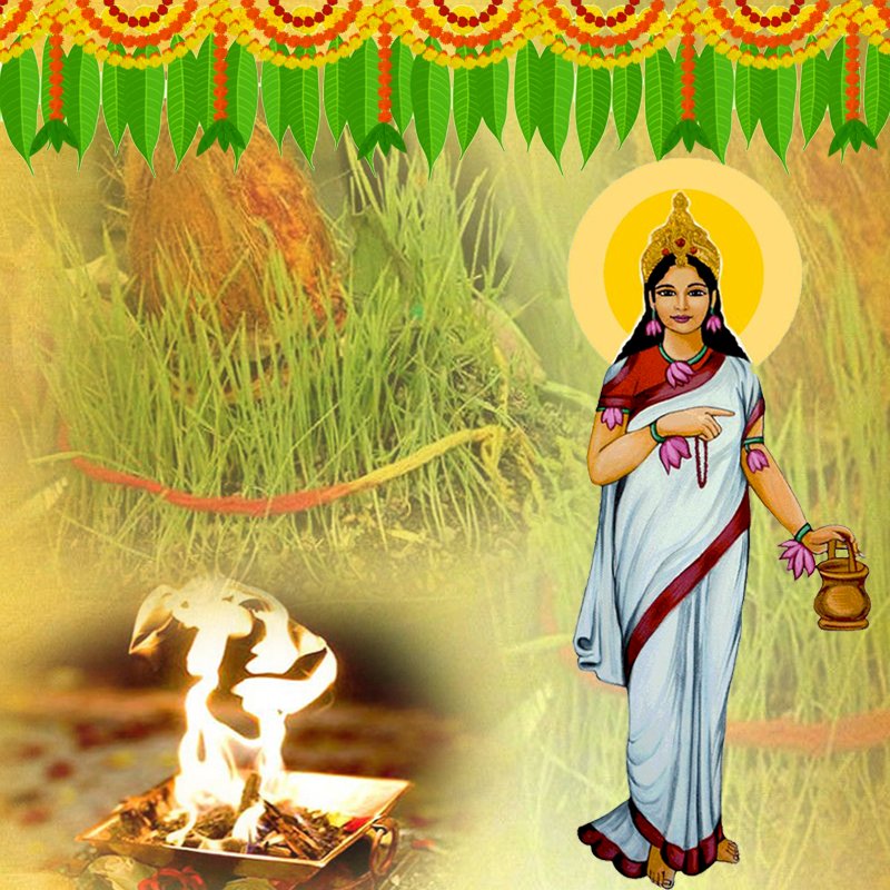 Brahmacharini Devi Puja and Yajna