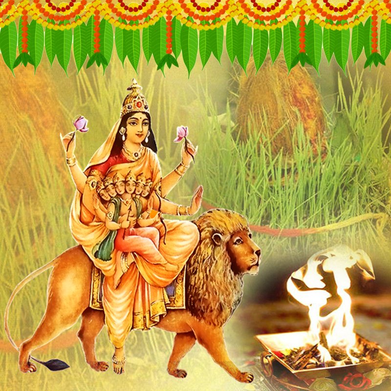 Skandamata Devi Puja and Yajna