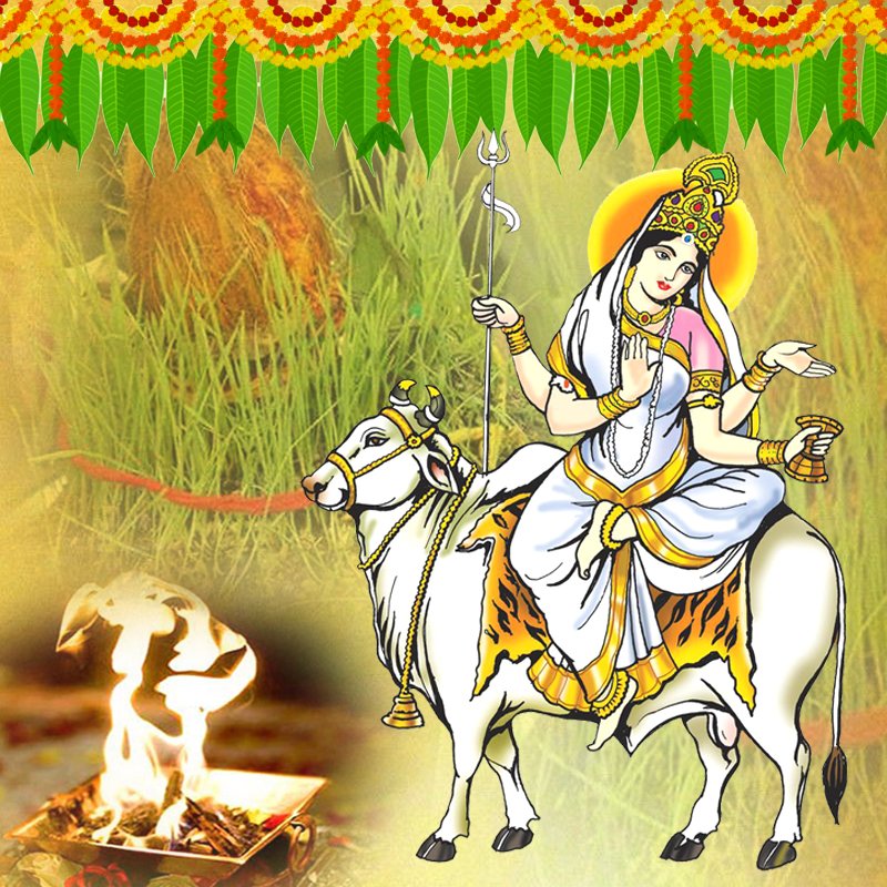 Mahagauri Devi Puja and Yajna