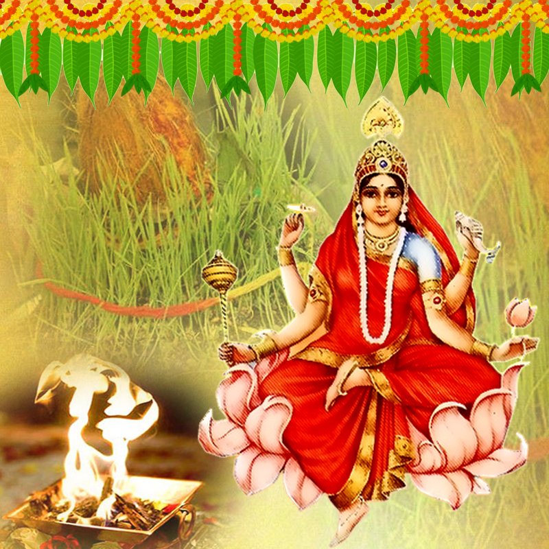 Siddhidatri Devi Puja and Yajna