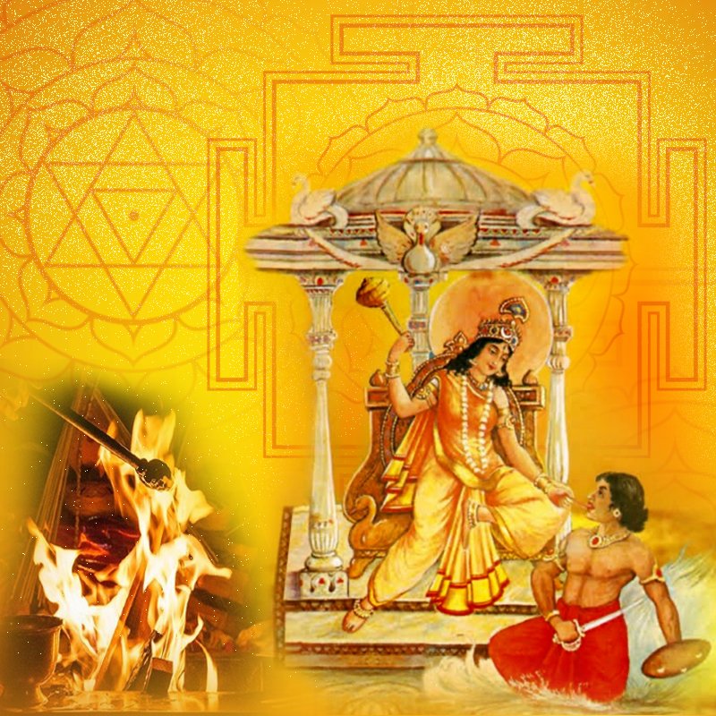 Baglamukhi Devi Puja and Yajna (Homa)
