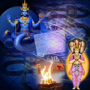 Naag Dosh Nivaran Puja